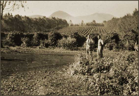 Lubimbi (Congo Belga), anni '30